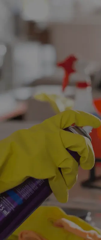 Cleaners Available in Theodore